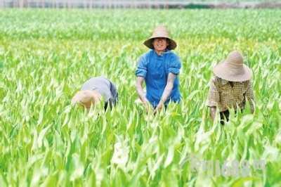恩施州已注册农民合作社9824个 成为农民增收主渠道
