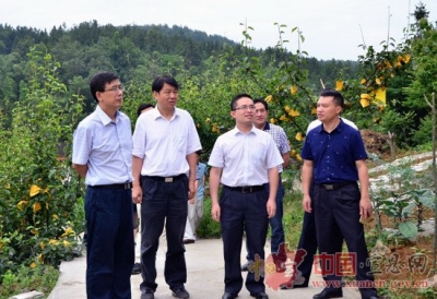 结对帮扶到农户家