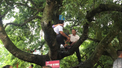 来凤 | 为千年古树不是你的“吊床”！享受请回家！