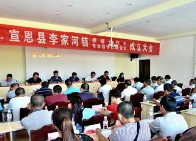 宣恩成立首家农民专业合作社联合社