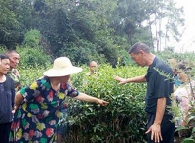 强基地亮品牌 建始特色农业产业发展风生水起