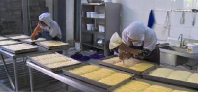 宣恩：抓实项目增后劲  发展产业促增收