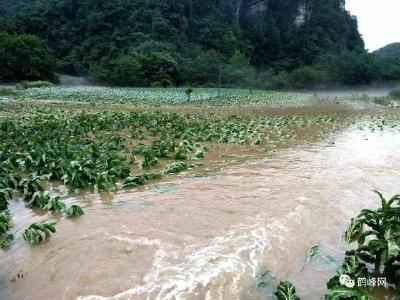 直击 | 鹤峰普降暴雨，多地受灾，干群合力夺取抗洪胜利