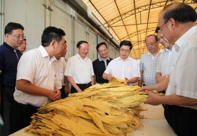 中国烟叶公司总经理陈江华到恩施调研 
