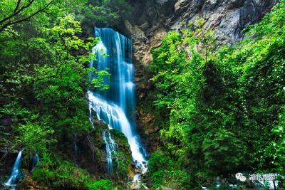 湖北竟隐藏了这么多森林秘境，它们有你想要的22℃夏天！
