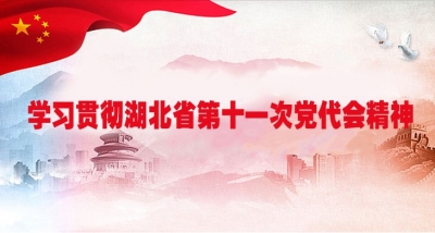 来凤县商务局学习贯彻中国共产党湖北省第十一次代表大会精神