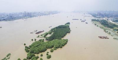 湖北启动防汛Ⅱ级应急响应 长江防总调度上中游水库群