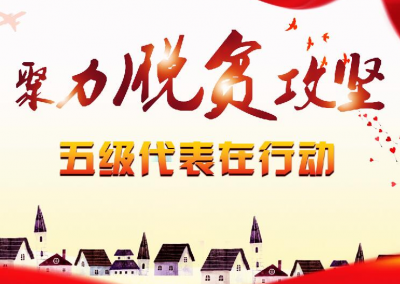 张岱梨到来凤参加“五级代表在行动”小组活动
