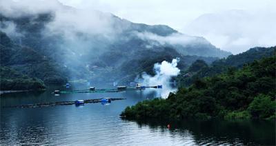 为了清江的水色清明 ——利川市政协组织召开清江生态保护与综合利用议政协商会议