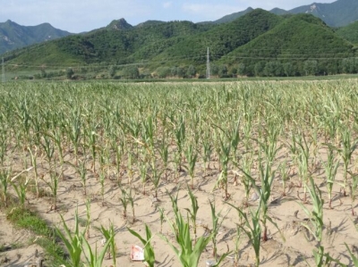 湖北启动省级救灾预警响应 确保灾区困难群众基本生活