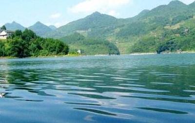 宣恩：生态保护重拳出击 专项行动首战告捷