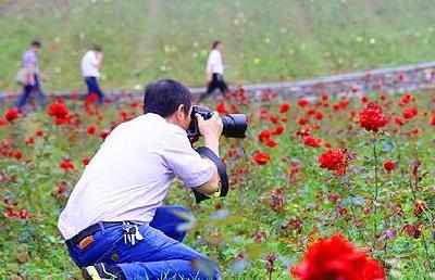 巴东：野三关森林花海引来拍客团