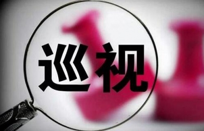一针见血：懒政怠政严重！湖北省委巡视