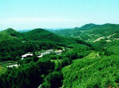 关于全州国有林场改革和农业养殖污染防治工作履职尽责情况的督查通报