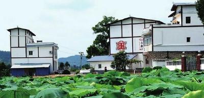 州委农办组织开展基层涉农领域工程项目专项治理