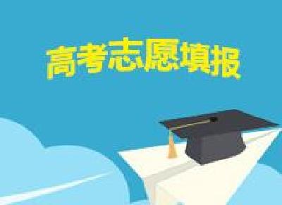 高职高专志愿填报今日17时截止 过时填报视为放弃