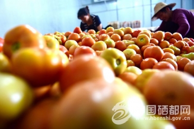 精准扶贫 | 家门口就业脱贫（图） 