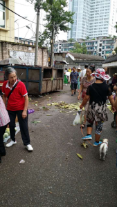 恩施 | 舞阳菜市场臭气熏天 市民直呼“伤不起”