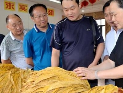 2017年度全州烤烟新烟样品（湖北中烟）审定暨技术研讨会在宣恩召开