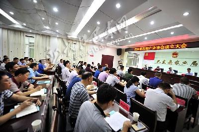 巴东成立柑橘产业协会奔10亿元产值目标