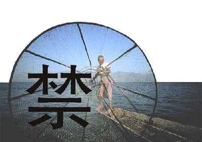 湖北79个水生生物保护区将全面禁捕，第一批就有咸丰忠建河大鲵国家级自然保护区