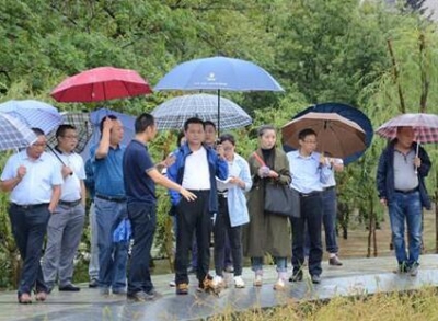 【六城同创】利川市现场办公促国家园林城市创建