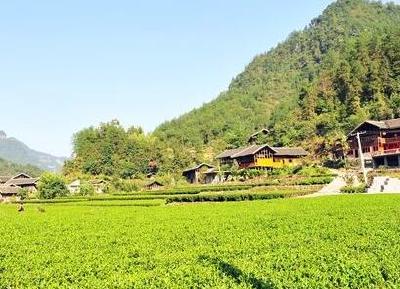 咸丰获批国家级出口食品农产品质量安全示范区
