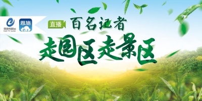 直播回顾 | 百名记者走园区走景区——咸丰工业园区