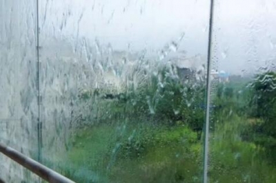 农村基层组织建设存在的问题和对策