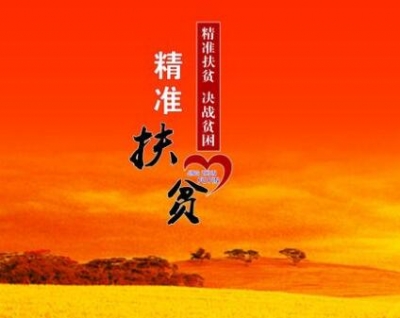 正视纪律和风险 尽职尽责做好精准扶贫工作
