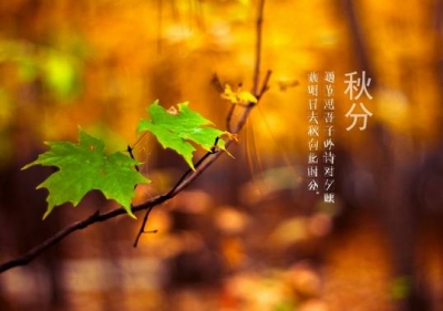 明日秋分，关于秋天的那些事儿