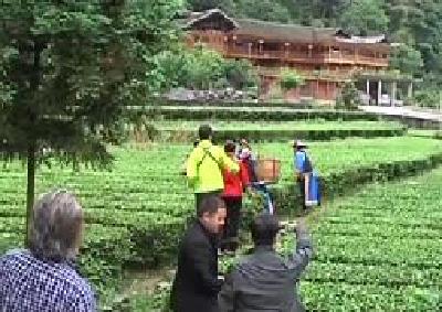 聚焦硒博会 | 专访：州农业局副局长田代华