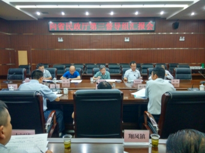 湖北省民政厅第三督导组督导来凤县民政重点工作