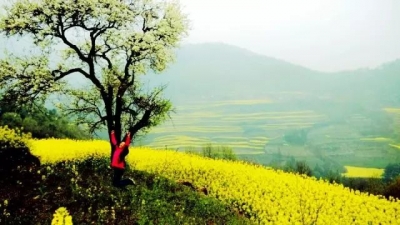 美哭了！中国美丽休闲乡村推介名单公布，湖北5个村入围