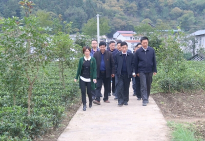 柯东海在鹤峰调研基层社会治理工作时强调 坚持党的领导坚持以人民为中心坚持产业发展