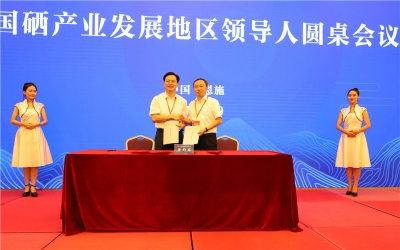 朱厚伦参加2017国际茶业大会暨第四届世界硒都（恩施）硒产品博览交易会