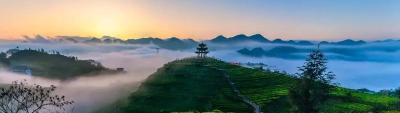 中央电视台《纪录东方》栏目组进入宣恩开拍《硒游记》