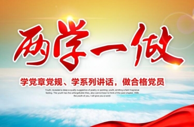 巴东：以“两学一做”为载体 助力美丽乡村建设