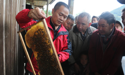 人民网：湖北鹤峰为贫困户送蜂送技术 开辟“甜蜜”脱贫路