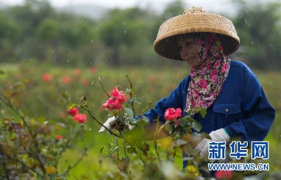 温暖，一切为人民的期盼