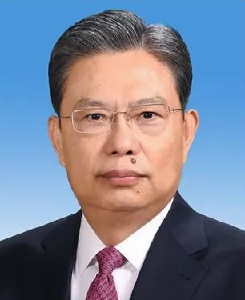 赵乐际担任中央纪律检查委员会书记