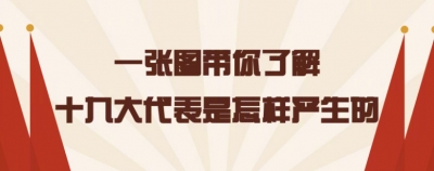 党的十九大代表诞生记