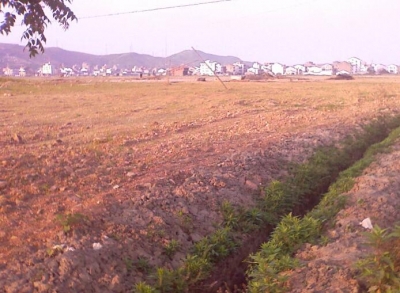 ​恩施州土地征收突出问题专项治理整改问题99个