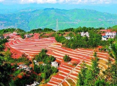 巴东多措并举推进水土保持重点工程建设