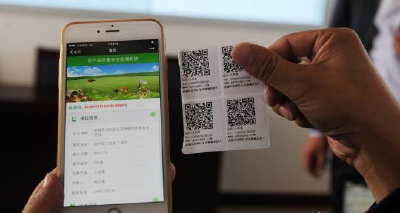 11月新规：保险业实施双录 互联网域名管理明确责任