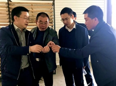 李俊杰到恩施市太阳河乡调研 