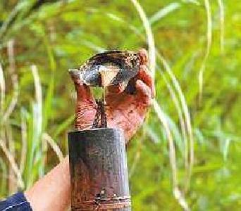 坝漆传承人涂朝清：30年坝漆技艺修得头名状元