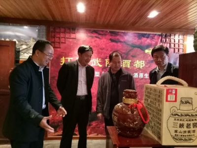 省文化厅调研组调研巴东县文化工作