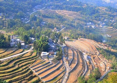 龙凤试点：推进乡村振兴 加快脱贫攻坚