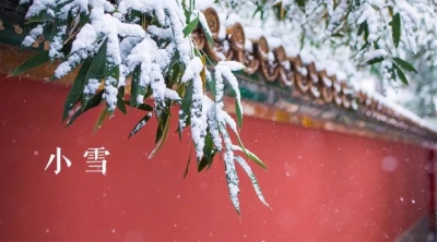 小雪：连朝浓雾如铺絮 已识严冬酿雪心